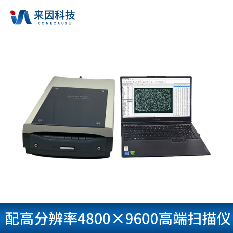 大米外观品质检测仪IN-DM02