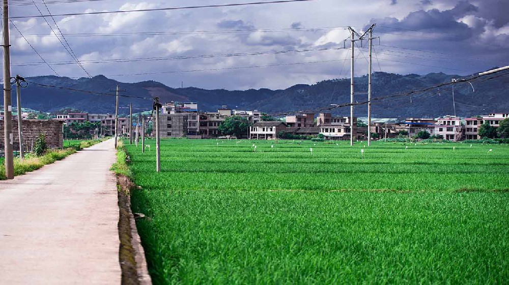 内蒙古乡村沃畉农业服务购入来因科…